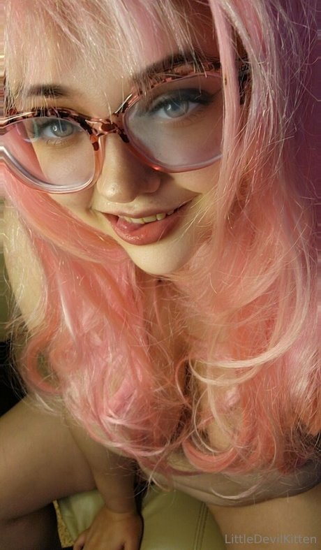 littledevilkitten star best photo