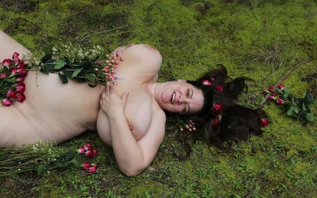 Stella R Galaxy top star photo