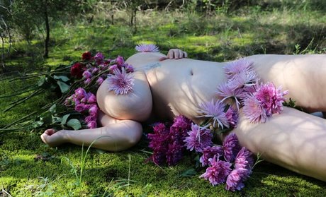 Stella R Galaxy hd star pics