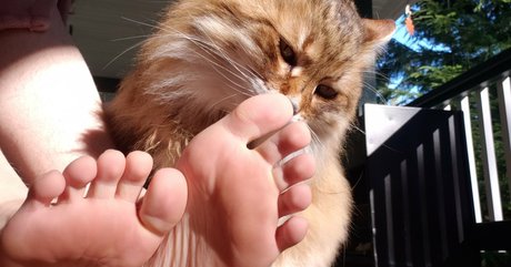 softcorekittyx sexy actress picture