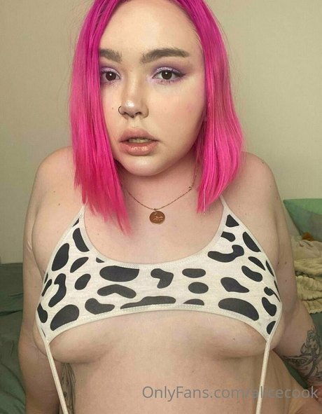 alicecook porn model picture