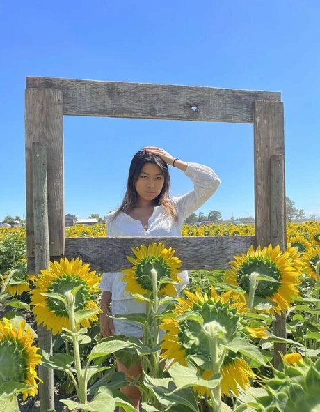 Wen Ding star sex pictures