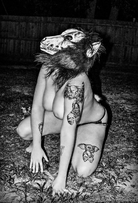 risenfeinics free star images