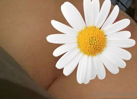 cowgirlvip model top pics