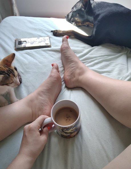 PamFeet art model pic