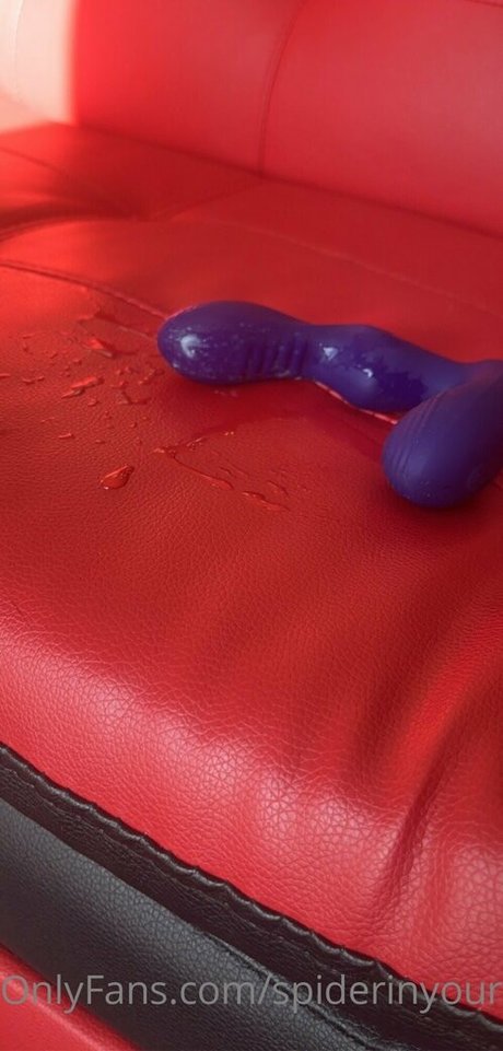 spiderinyourgarden star pretty pic