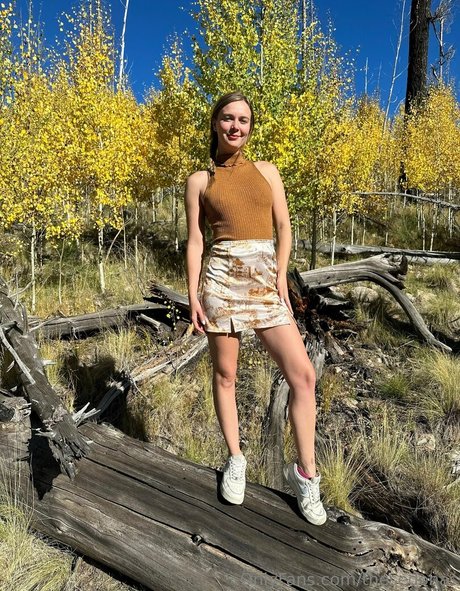 thesedonas star free img