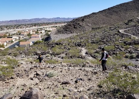 mialelanixxx star art img