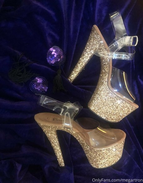 megartron model high quality picture