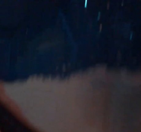 No bo dy nice pornstar gallery