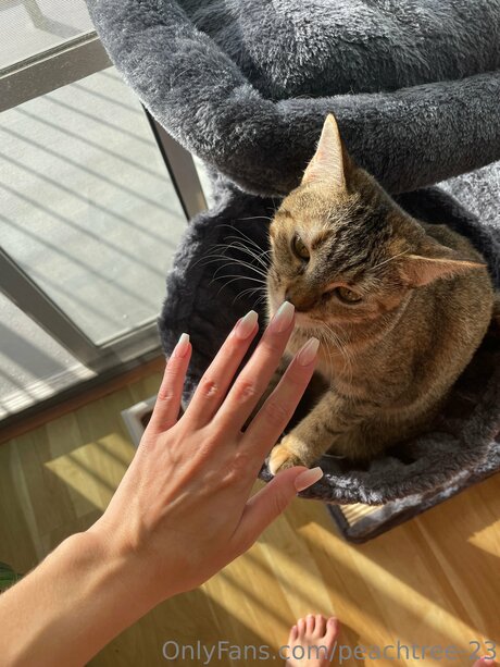 peachtree 23 actress pictures