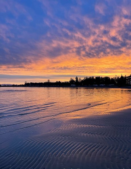 jnorthx beautiful star pictures