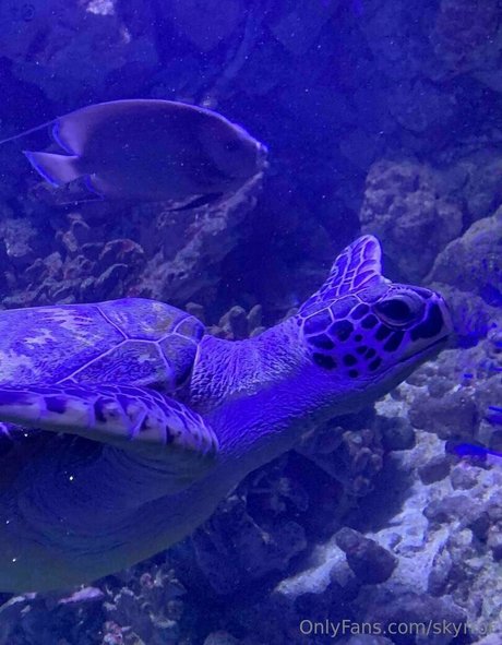 skyrror pretty model photos