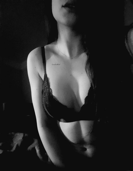 cerenbal free top pornstar gallery