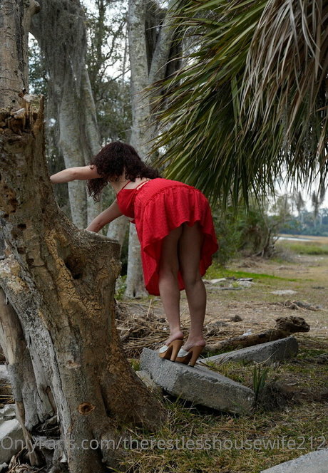 therestlesshousewife2121 high quality pornstar image