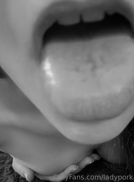 ladypork perfect model pics