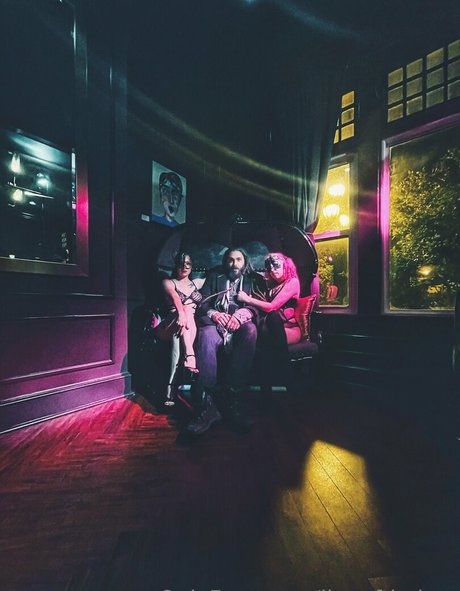 lionofthebay star free pics