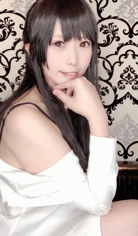 Glossy Rabbit beautiful star archive