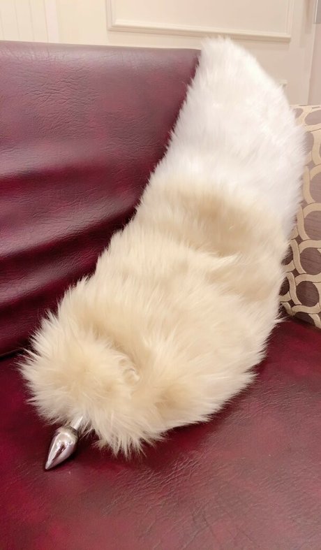 Glossy Rabbit pornstar perfect photo