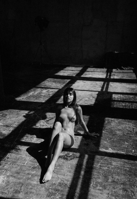 Nemmy Horin star photos