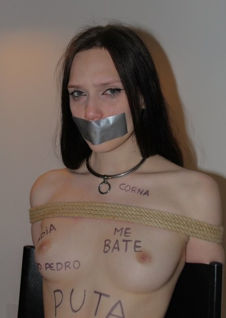 Becarol model high quality img