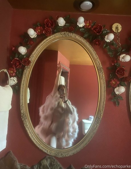 echoparke star top image