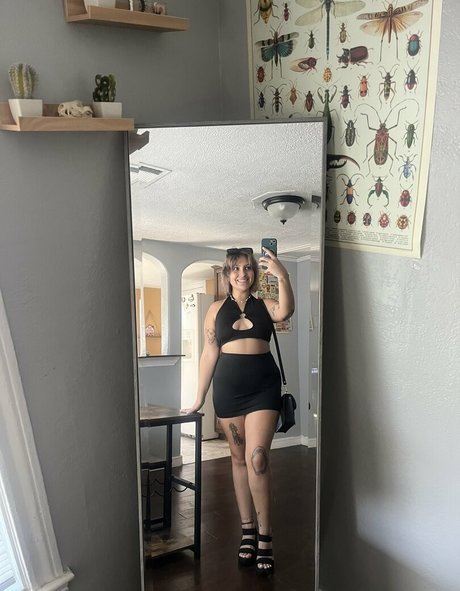 steph art star archive