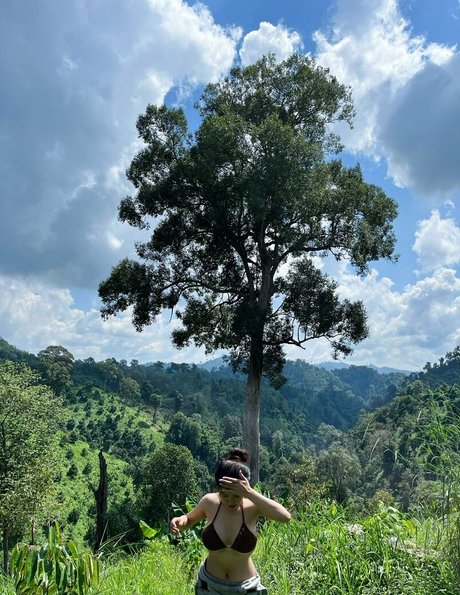 nam093178 model photos