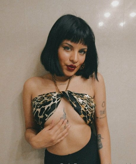 pietra blu Profile pic