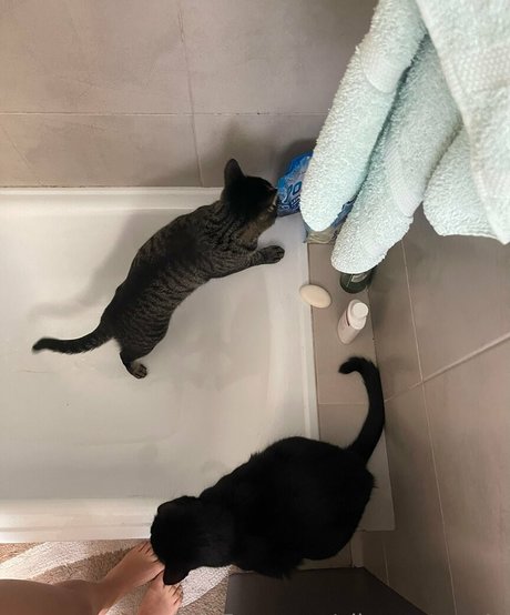 ellamontoya4u free model photo