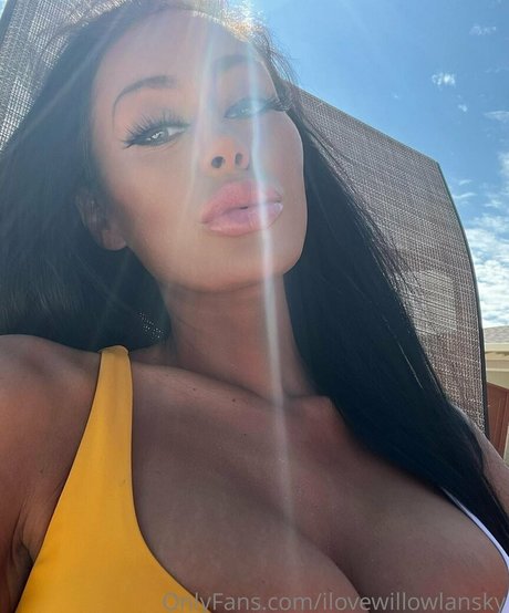 ilovewillowlansky star nice gallery