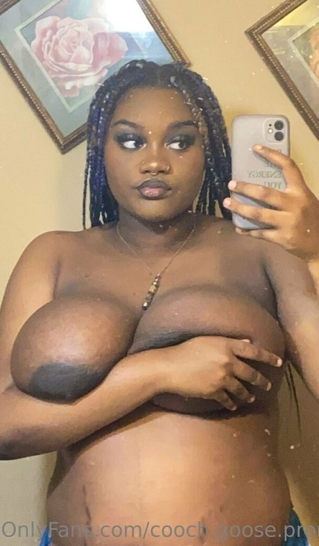 cooch goose premium xxx star img