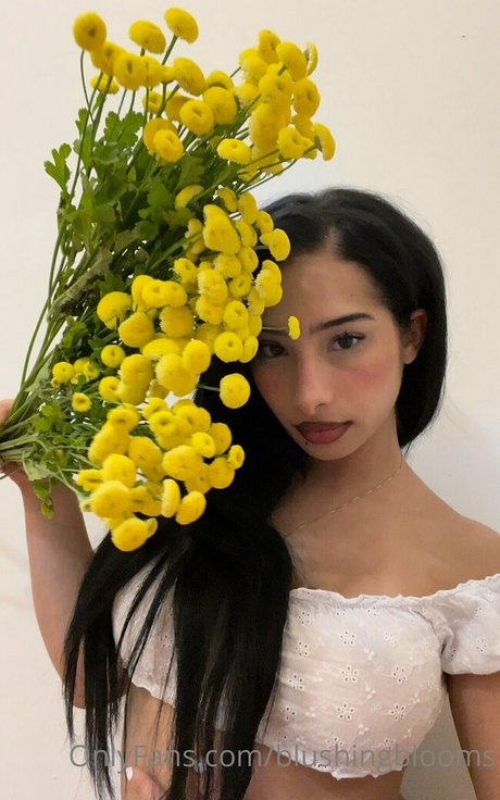 blushingblooms star free pics