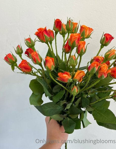 blushingblooms hot model img