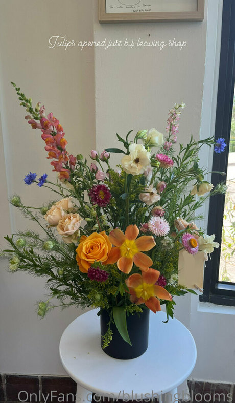 blushingblooms star hd archive