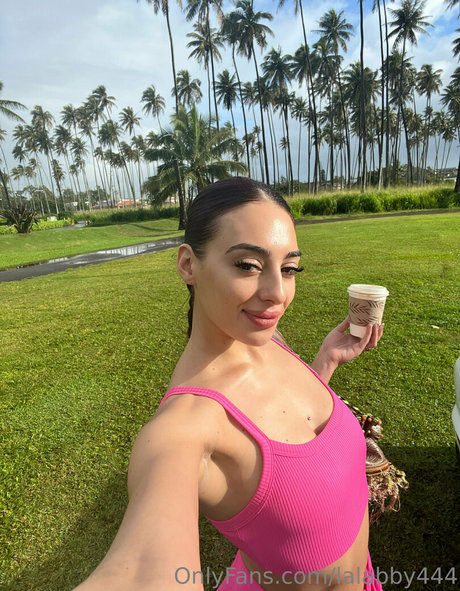 lalabby444 pornstar art archive