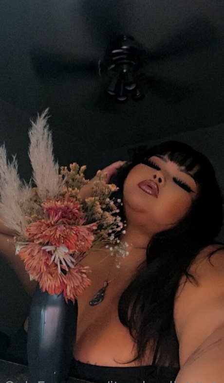 its claudiabitch pretty star archive