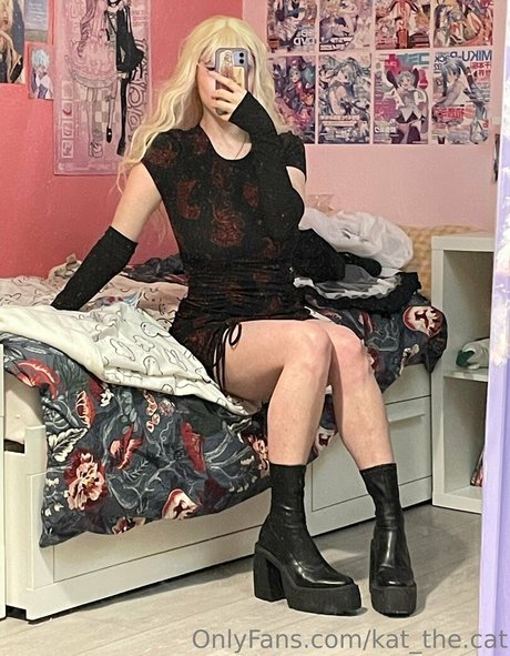 kat the cat star nice gallery