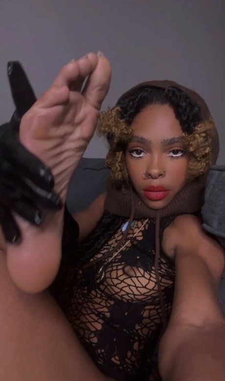 Zafeetllc star hd archive