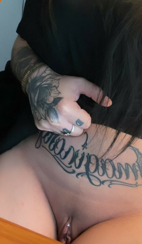 quaesitax high quality star archive