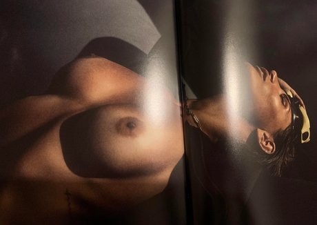 Linnebel model art gallery