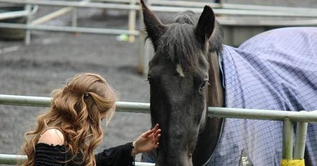 Brenna Winters xxx star gallery