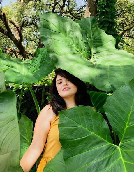 Alondra Larson star xxx images