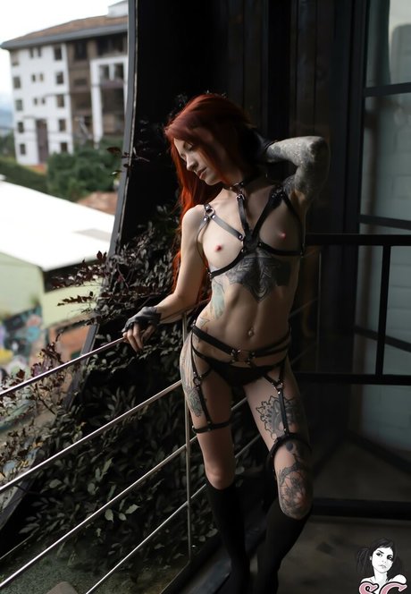 zarawolf model beautiful gallery