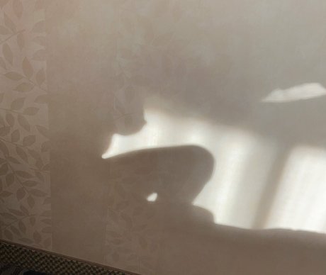 Dakota Blushing model high quality images