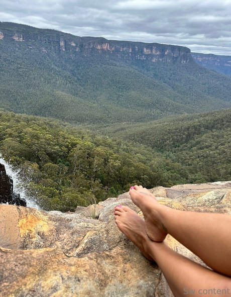 Sammy Walsh star porn image