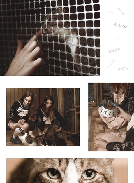 Agrifano top actress pics