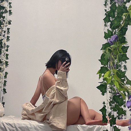 Harutan star high quality picture