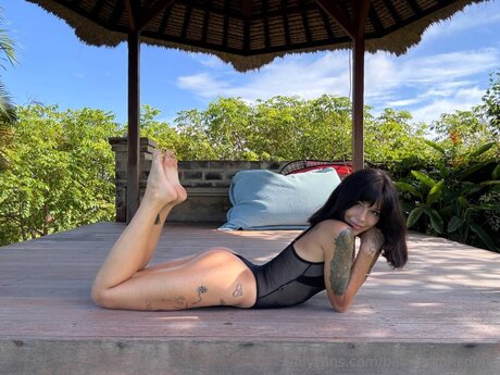 Baby Capricornn best model archive