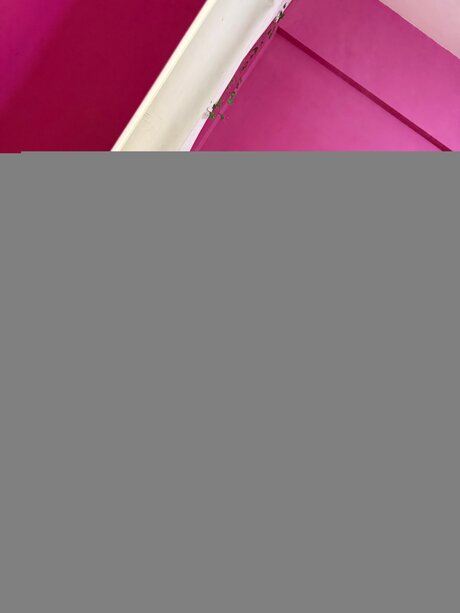 Sofiaindivar pretty star gallery